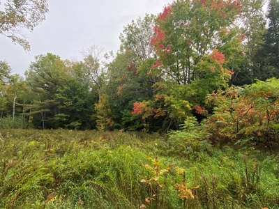 48 Acres Land for Sale Old Town Maine - image 5