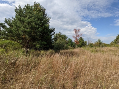Commercial Acreage for Sale Onaway, MI - image 9