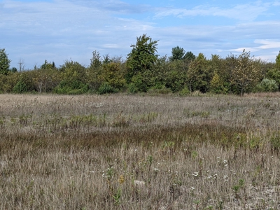 Commercial Acreage for Sale Onaway, MI - image 5