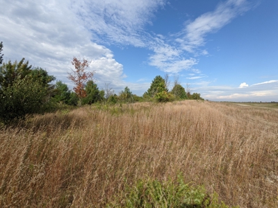 Commercial Acreage for Sale Onaway, MI - image 10