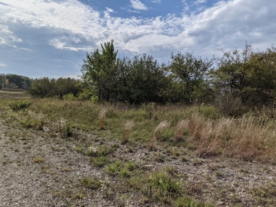 Commercial Acreage for Sale Onaway, MI - image 7