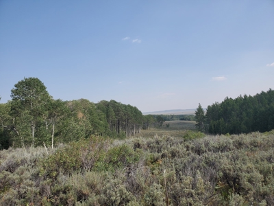 Sublette County, WY | Ranch For Sale - image 10