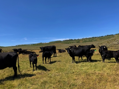Sublette County, WY | Ranch For Sale - image 3