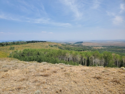 Sublette County, WY | Ranch For Sale - image 5