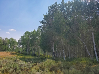 Sublette County, WY | Ranch For Sale - image 8