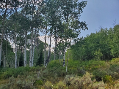 Sublette County, WY | Ranch For Sale - image 9