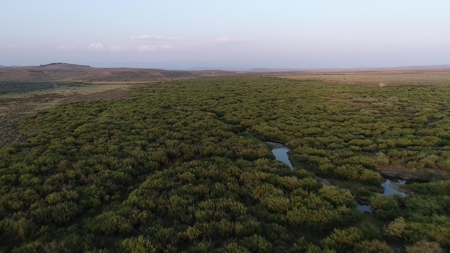 Sublette County, WY | Ranch For Sale - image 13