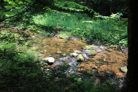 Riverfront on the Middle Mongaup - image 32