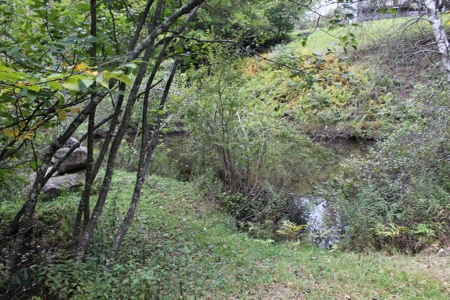 Riverfront on the Middle Mongaup - image 8