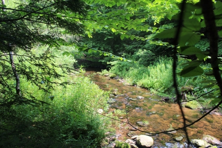 Riverfront on the Middle Mongaup - image 34