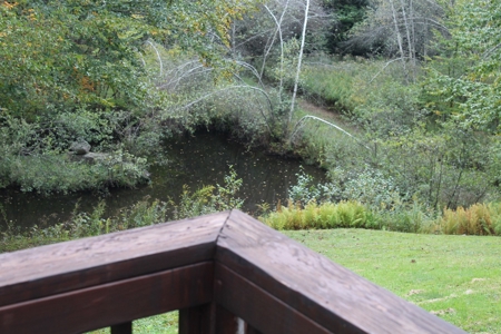Riverfront on the Middle Mongaup - image 9
