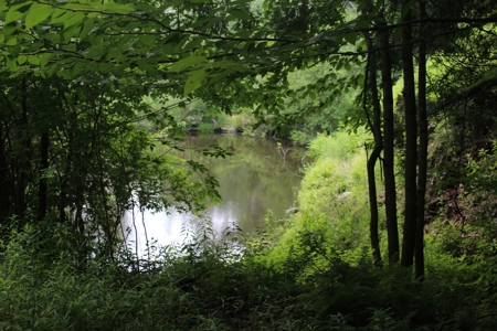 Riverfront on the Middle Mongaup - image 29
