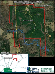 East Texas Timberland for Sale - Sealed Bid - image 8