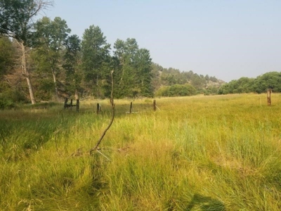 Fixer Upper in Northern, CA w/Domestic Well on 33 Acres - image 33