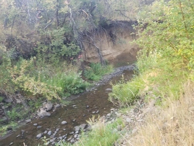 Fixer Upper in Northern, CA w/Domestic Well on 33 Acres - image 25