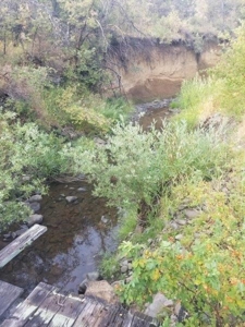 Fixer Upper in Northern, CA w/Domestic Well on 33 Acres - image 21