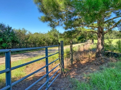 61 Acres Pature & Timber Land for Sale with Cabin South MS - image 41