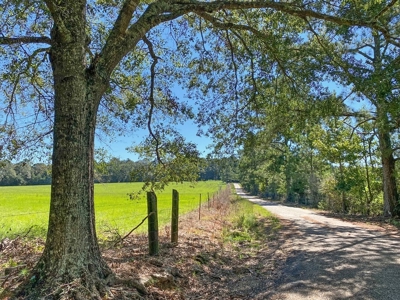 61 Acres Pature & Timber Land for Sale with Cabin South MS - image 46