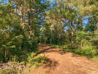 61 Acres Pature & Timber Land for Sale with Cabin South MS - image 23