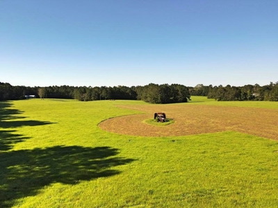 61 Acres Pature & Timber Land for Sale with Cabin South MS - image 2