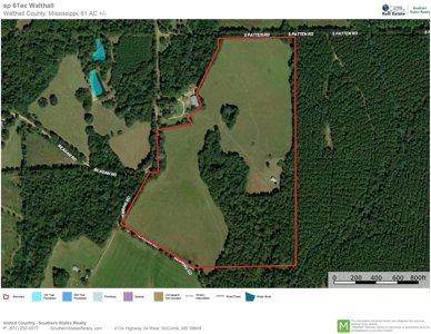 61 Acres Pature & Timber Land for Sale with Cabin South MS - image 49