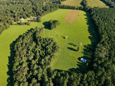 61 Acres Pature & Timber Land for Sale with Cabin South MS - image 9