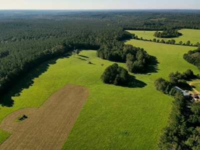 61 Acres Pature & Timber Land for Sale with Cabin South MS - image 7