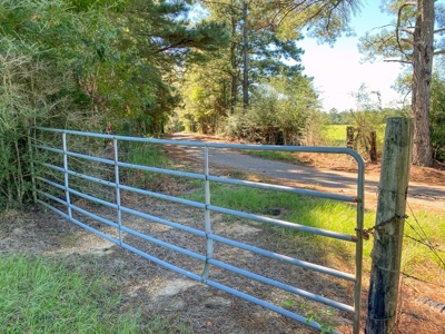 61 Acres Pature & Timber Land for Sale with Cabin South MS - image 40
