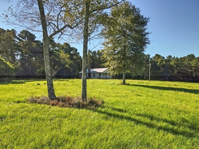 61 Acres Pature & Timber Land for Sale with Cabin South MS - image 13