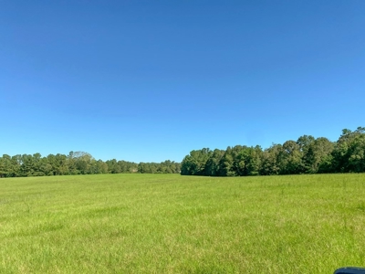 61 Acres Pature & Timber Land for Sale with Cabin South MS - image 42