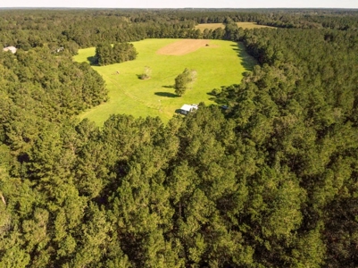61 Acres Pature & Timber Land for Sale with Cabin South MS - image 17
