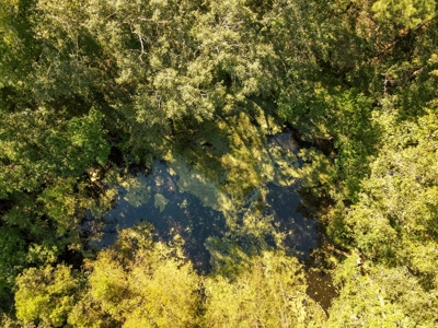 61 Acres Pature & Timber Land for Sale with Cabin South MS - image 21