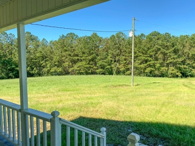 61 Acres Pature & Timber Land for Sale with Cabin South MS - image 36