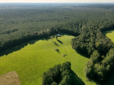 61 Acres Pature & Timber Land for Sale with Cabin South MS - image 8