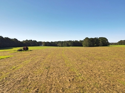 61 Acres Pature & Timber Land for Sale with Cabin South MS - image 6
