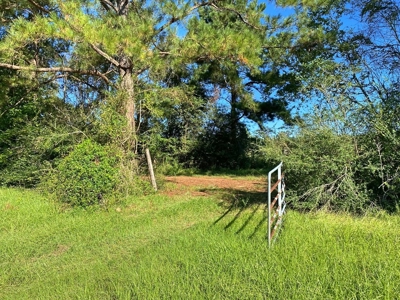 61 Acres Pature & Timber Land for Sale with Cabin South MS - image 22
