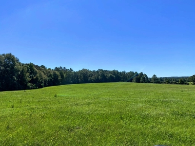 61 Acres Pature & Timber Land for Sale with Cabin South MS - image 38