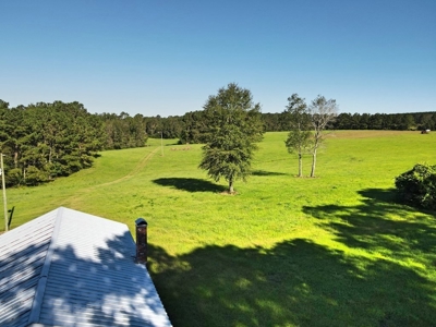 61 Acres Pature & Timber Land for Sale with Cabin South MS - image 14