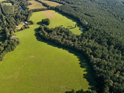 61 Acres Pature & Timber Land for Sale with Cabin South MS - image 11