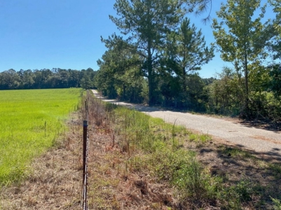 61 Acres Pature & Timber Land for Sale with Cabin South MS - image 39