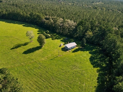 61 Acres Pature & Timber Land for Sale with Cabin South MS - image 19