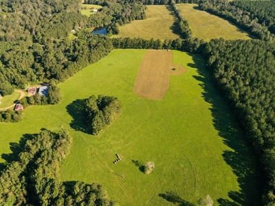 61 Acres Pature & Timber Land for Sale with Cabin South MS - image 12