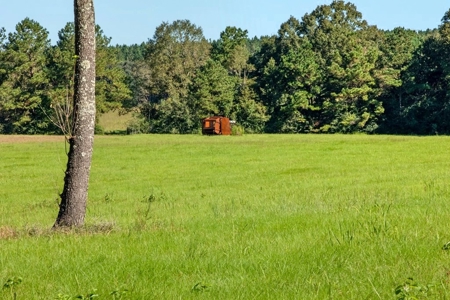 61 Acres Pature & Timber Land for Sale with Cabin South MS - image 5