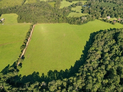 61 Acres Pature & Timber Land for Sale with Cabin South MS - image 10
