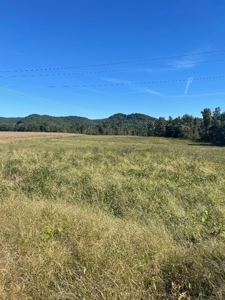 Land for sale with creek frontage, Rowan County KY - image 1