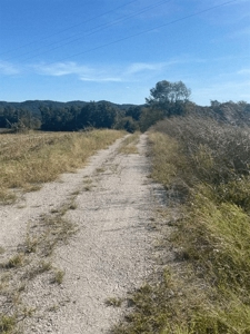 Land for sale with creek frontage, Rowan County KY - image 2
