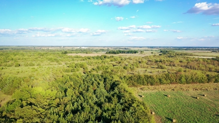 Recreational Land For Sale Paris Texas Lamar County - image 7