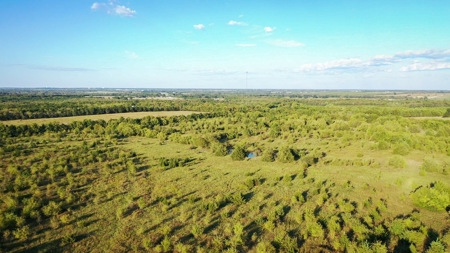 Recreational Land For Sale Paris Texas Lamar County - image 8