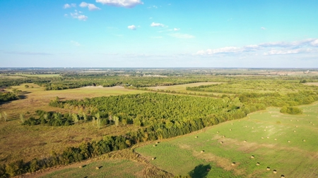 Recreational Land For Sale Paris Texas Lamar County - image 5