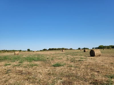 Recreational Land For Sale Paris Texas Lamar County - image 21